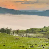 تور ۶ روزه شهریور شمال