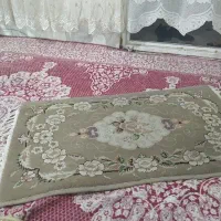 دو جفت پادری در حد نو۵۰۰شانه بفروش میرسد