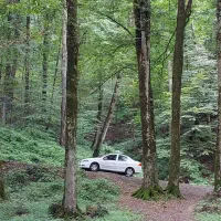 رانا پلاس مدل 1402 در حد خشک