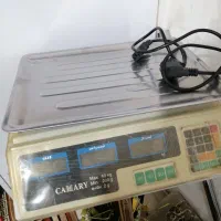 بلندگو شیپوری وترازو