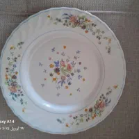 پیش دستی وبشقاب گود ودیس گرد گود وتخت ارکوپال|ظروف سرو و پذیرایی|ارومیه, |دیوار