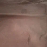 موکت|موکت|مشهد, گلبرگ|دیوار