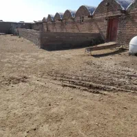 اجاره دامداری