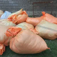 قایق موتوری یاماها ۲۰۰|قایق و سایر وسایل نقلیه|بندر ترکمن, |دیوار