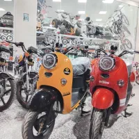 پاکشتی و مینی تریل