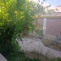 اجاره ویلایی محله مروارید