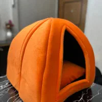 خانه سگ و گربه