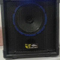 اکو همراه دستگاه صوتی