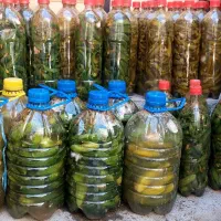 خیار شور ۱/۵ لیتری  و ۴ لیتری سوپر ویژه|خوردنی و آشامیدنی|سراب, |دیوار