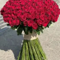 100بگیر 24ماه برگردون