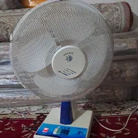 پنکه