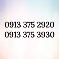 ۰۹۱۳۳۷۵۲۹۲۰