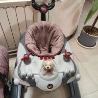 روروئک ملورین