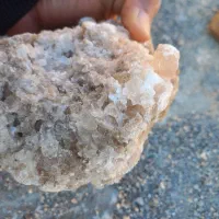 فسیل های مختلف|کلکسیون اشیاء عتیقه|سیراف, |دیوار