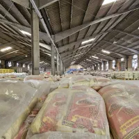 فروش حبوبات به شرکت ها با فاکتور رسمی