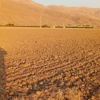 زمین-کشاورزی-روستای-عزاباد-تخت-جمشید