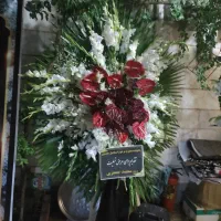 گل برای مراسم شما|گل و گیاه طبیعی|تهران, خزانه|دیوار