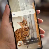 note 9s|موبایل|بوشهر, |دیوار