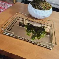 سینی اینه ایی زیبا