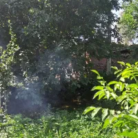 باغچه و زمین ساختمان