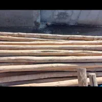 خریدار چوب|خدمات باغبانی و درختکاری|لاران, |دیوار