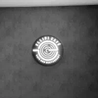 استخدام نیروی کار