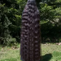 خرید مو با بالاترین قیمت