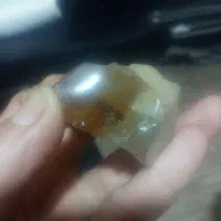 یک عدد سنگ کهربا ی حشره دار بفروش میرسد