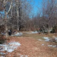 باغچه-سپیدان