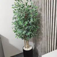 درختچه زیبا|گل و گیاه طبیعی|اهواز, حصیرآباد|دیوار