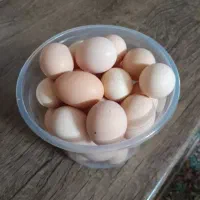 تخم‌مرغ محلی