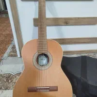 گیتار فروشی