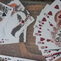 پاسور ،پاستور درجه یک زیر قیمت بازار|اسباببازی|تهران, تهرانسر شمالی|دیوار