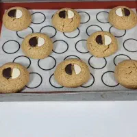 کوکی با طعم های متفاوت|عمدهفروشی|آمل, |دیوار