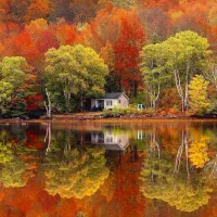 اقامت دائم کانادا - اقامت اروپا فوری و عمان|خدمات حمل و نقل|تهران, جنت‌آباد مرکزی|دیوار