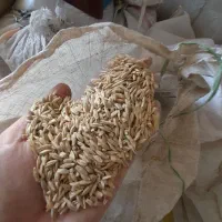 جو محلی چگنی