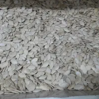 برنج عنبربو سال گذشته 250 کیلو|خوردنی و آشامیدنی|اردبیل, |دیوار