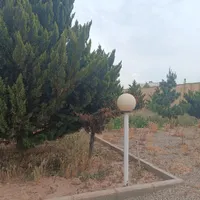 فروش زمین ۷۰۰ متری در پامنار|فروش زمین و ملک کلنگی|تهران, پامنار|دیوار