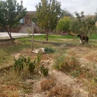 فروش خانه ویلایی|فروش خانه و ویلا|ماهنشان, |دیوار