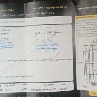 مدل 98 دوگانه شرکتی