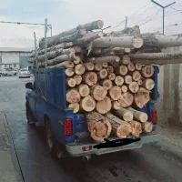 خرید تر و خشکه چوب به صورت نقد