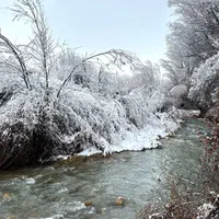 اجاره روزانه/هفتگی/ماهانه ویلا ۸۵ متری|اجارهٔ کوتاه‌مدت ویلا و باغ|سپیدان, |دیوار