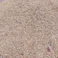 لوبیاچیتی ایرانی زودپز