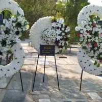 اجاره تاج گل فقط 500|خدمات پذیرایی، مراسم|قم, آزادگان|دیوار