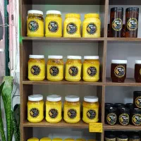 عسل کوهستان درمانی،معجون،بره موم،گرده گل،ژل رویال|خوردنی و آشامیدنی|مشهد, هنرور|دیوار