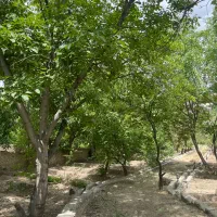 ویلاباغ۱۵۰۰زمین۱۵۰بناجنگلی سندششدانگ درمهرابادنوده|فروش خانه و ویلا|رودهن, |دیوار