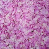پخش ادویه های درجه یک