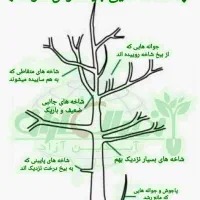 باغبانی ودرختکاری