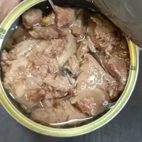 تون جنوب چابهار|خوردنی و آشامیدنی|تربت جام, معدآباد|دیوار