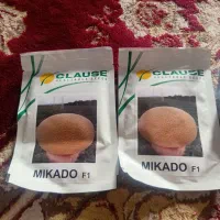 برز هندوانه وشمام|گل و گیاه طبیعی|شیراز, کرونی(خاتونک)|دیوار